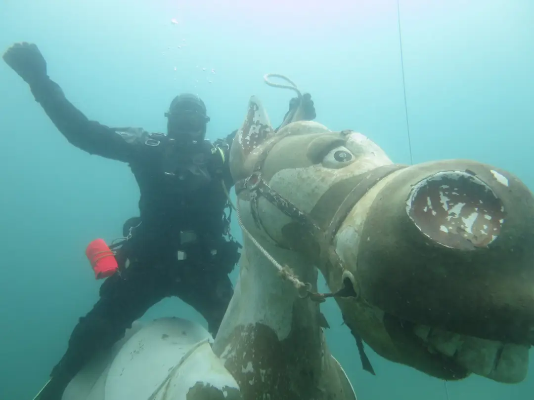 Sheffield Scuba