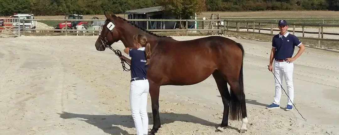 ECURIE DU DESIR