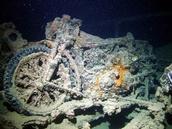 Nemes Dive Academy