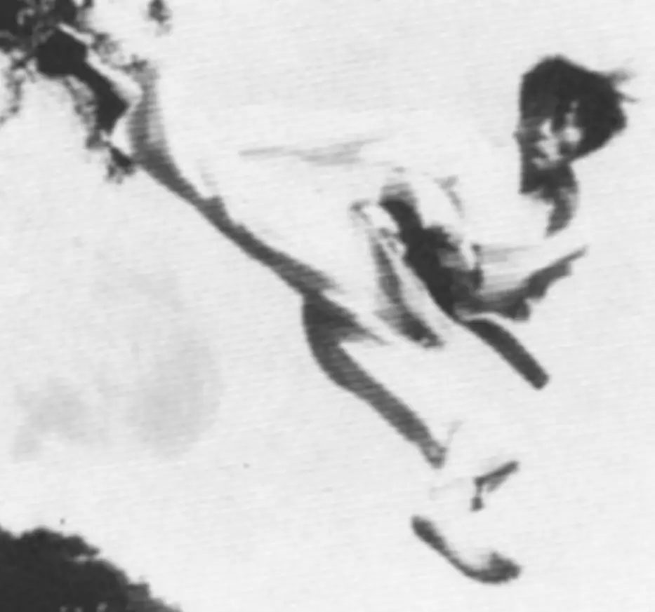 Rhee Taekwondo - Caringbah Branch