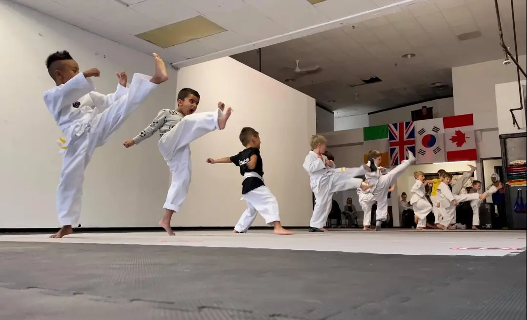 Sarnia Olympic Taekwondo