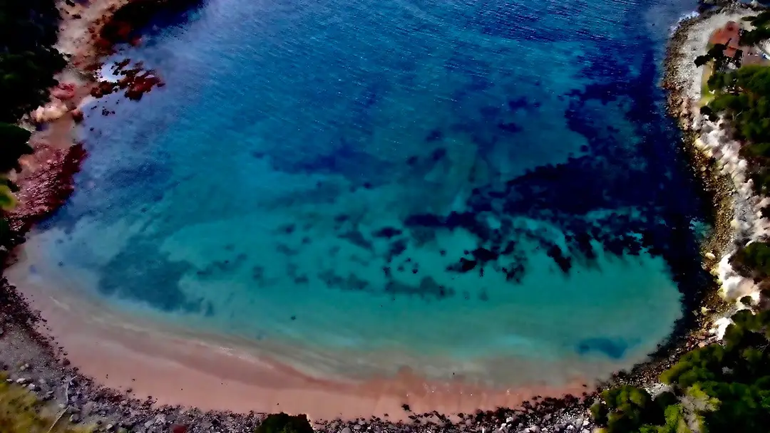 Sapphire Coast Scuba