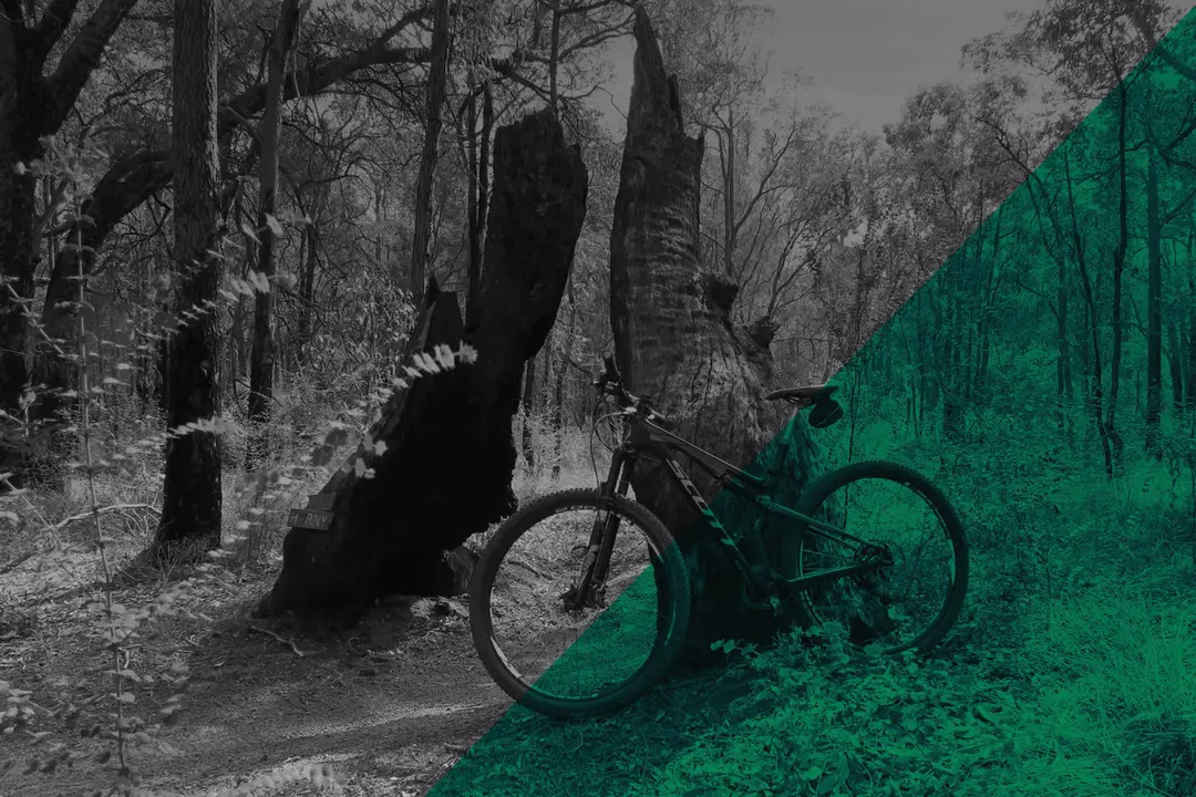 Kalamunda Mountain Bike Park