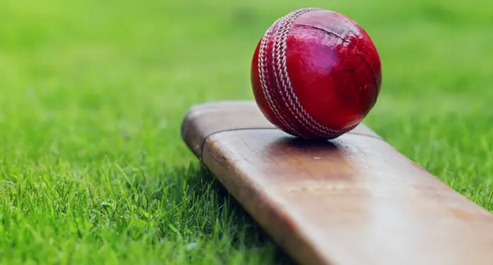 Calgary & District Cricket League
