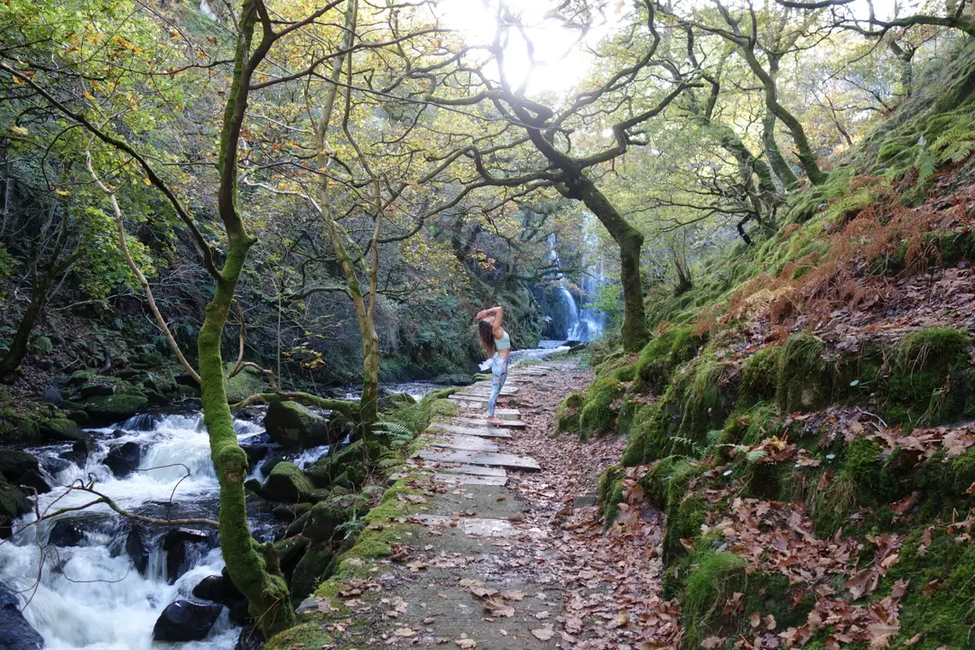 Nalini Yoga at Braf