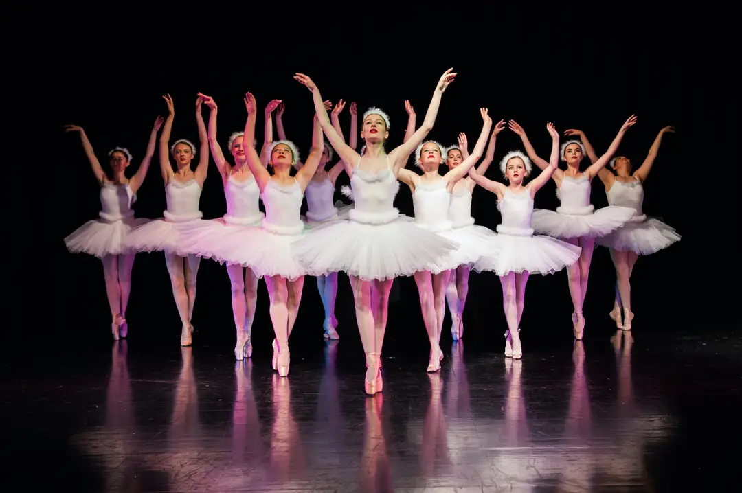 The Elite Academy of Dance