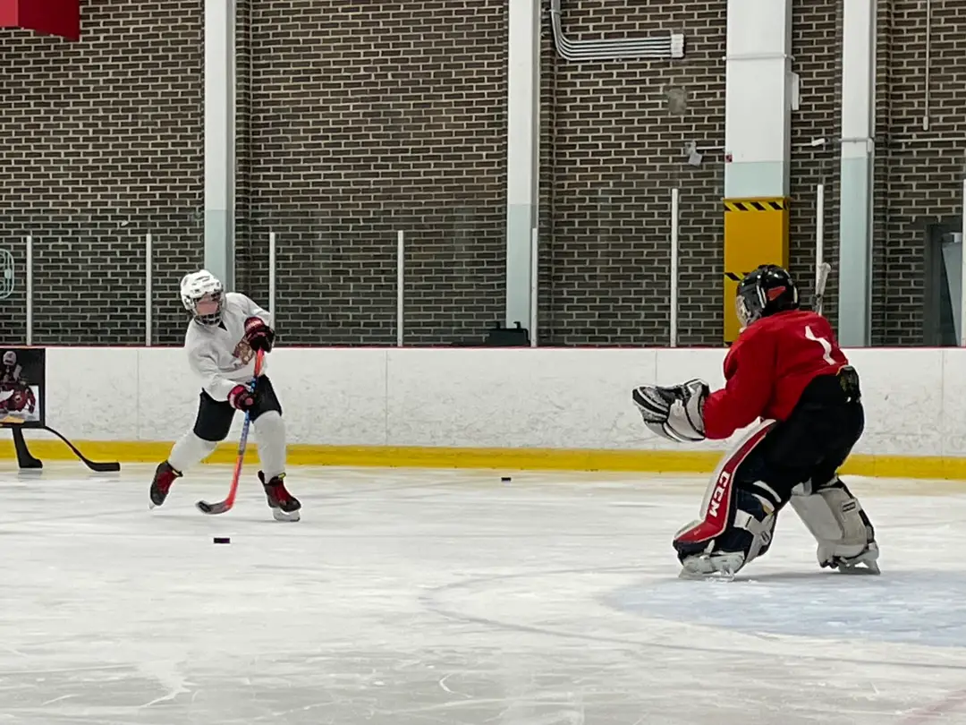 Hockey Sud Ouest - HSO