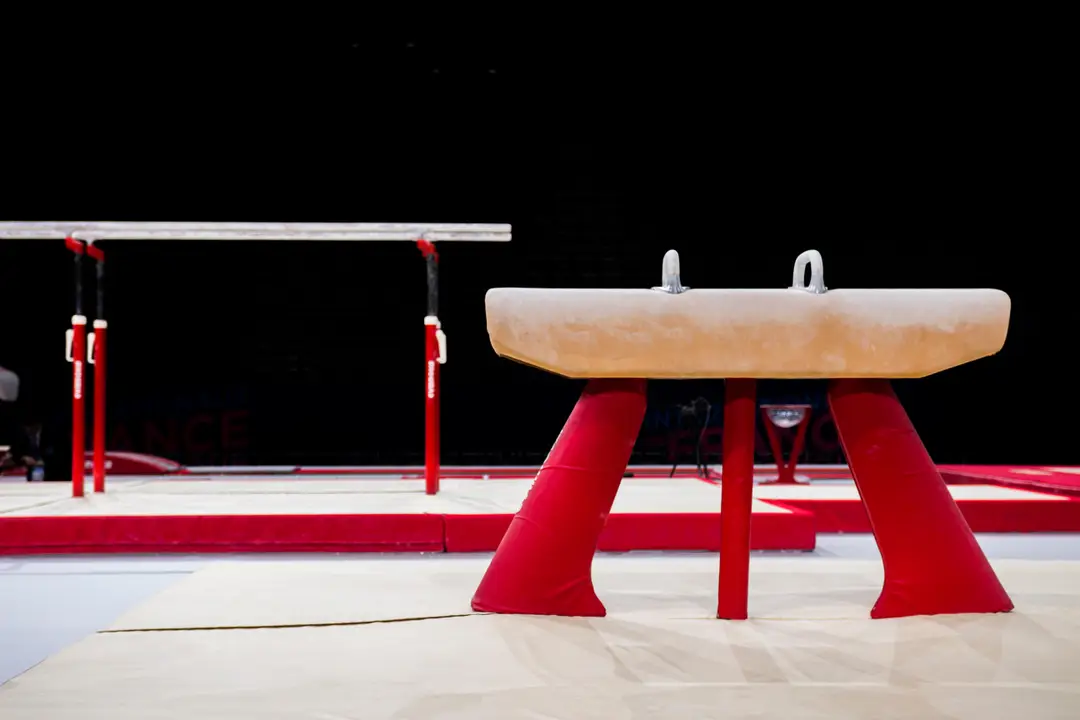 Committee Regional Ile De France De La Ffgym