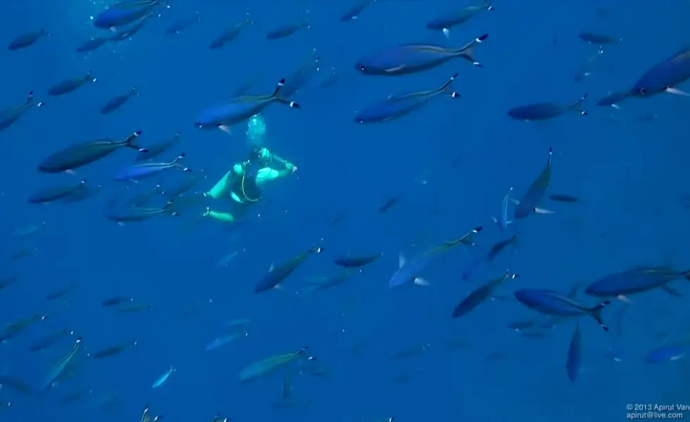 Divine Scuba