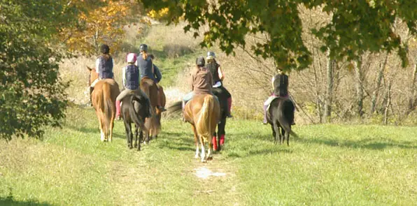 Horses at Heart