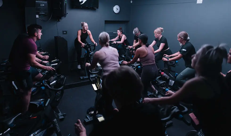 Studio 281