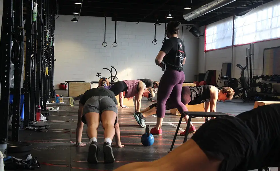 Parker Training & Wellness