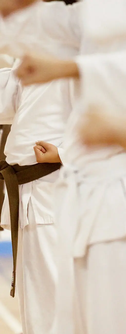 Nintai Karate Club