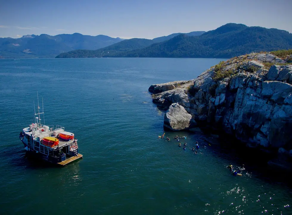 Sea Dragon Charters