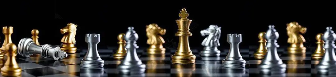 Échecs Club de Villeurbanne
