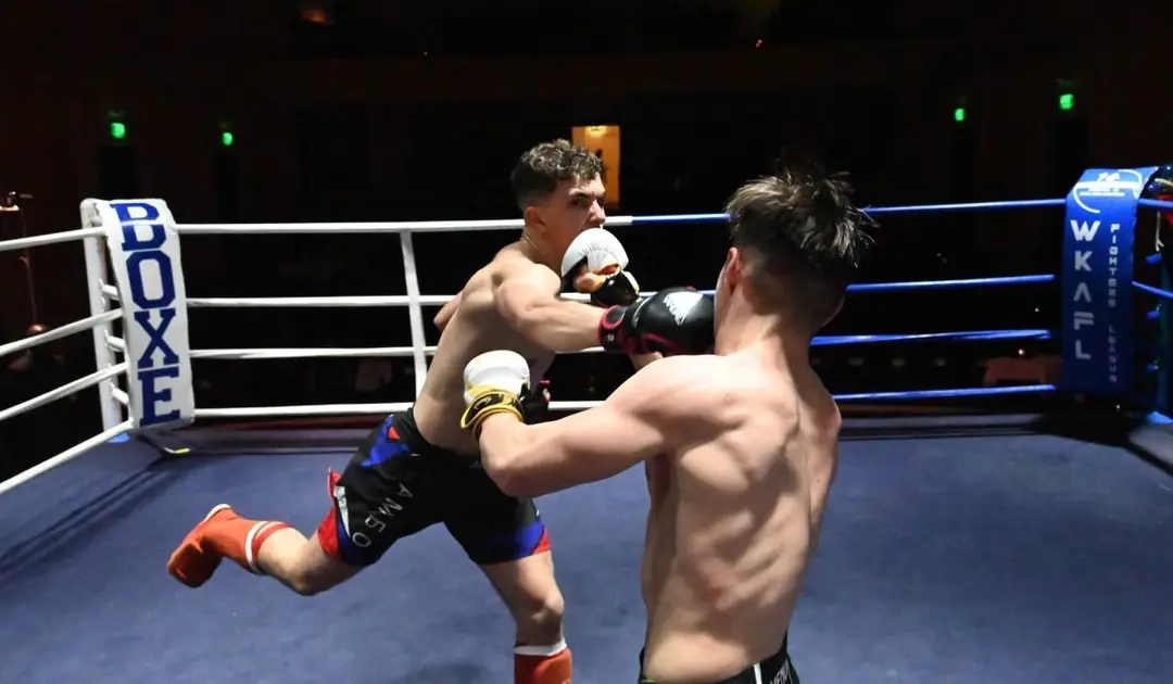 Blue Sport And Performance Cannes Club De Mma Loisirs Et Compétitif