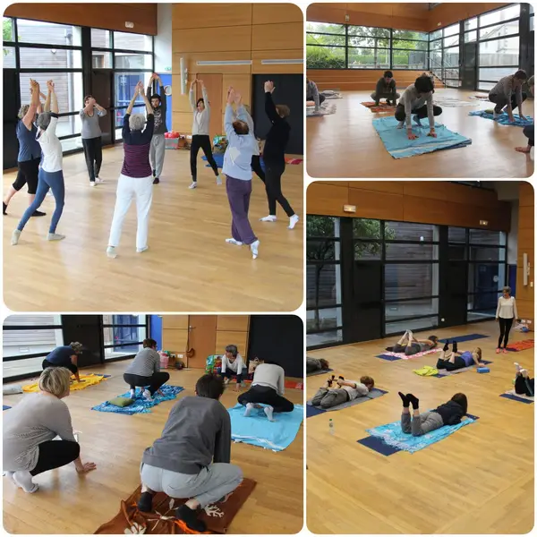 Abelia Yoga