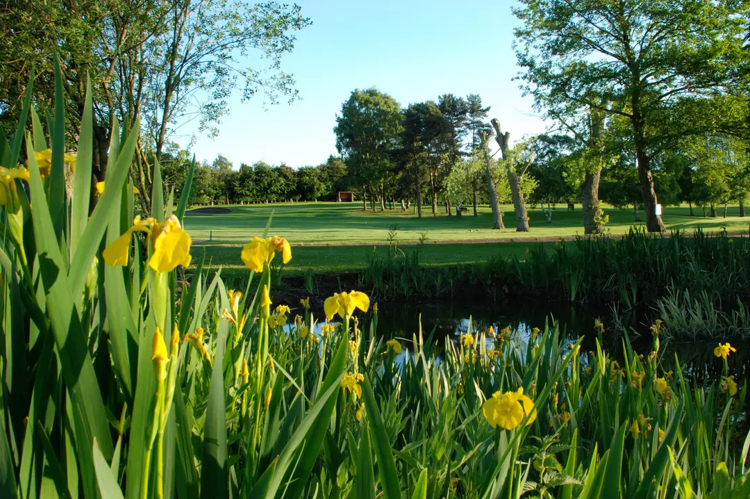Pike Hills Golf