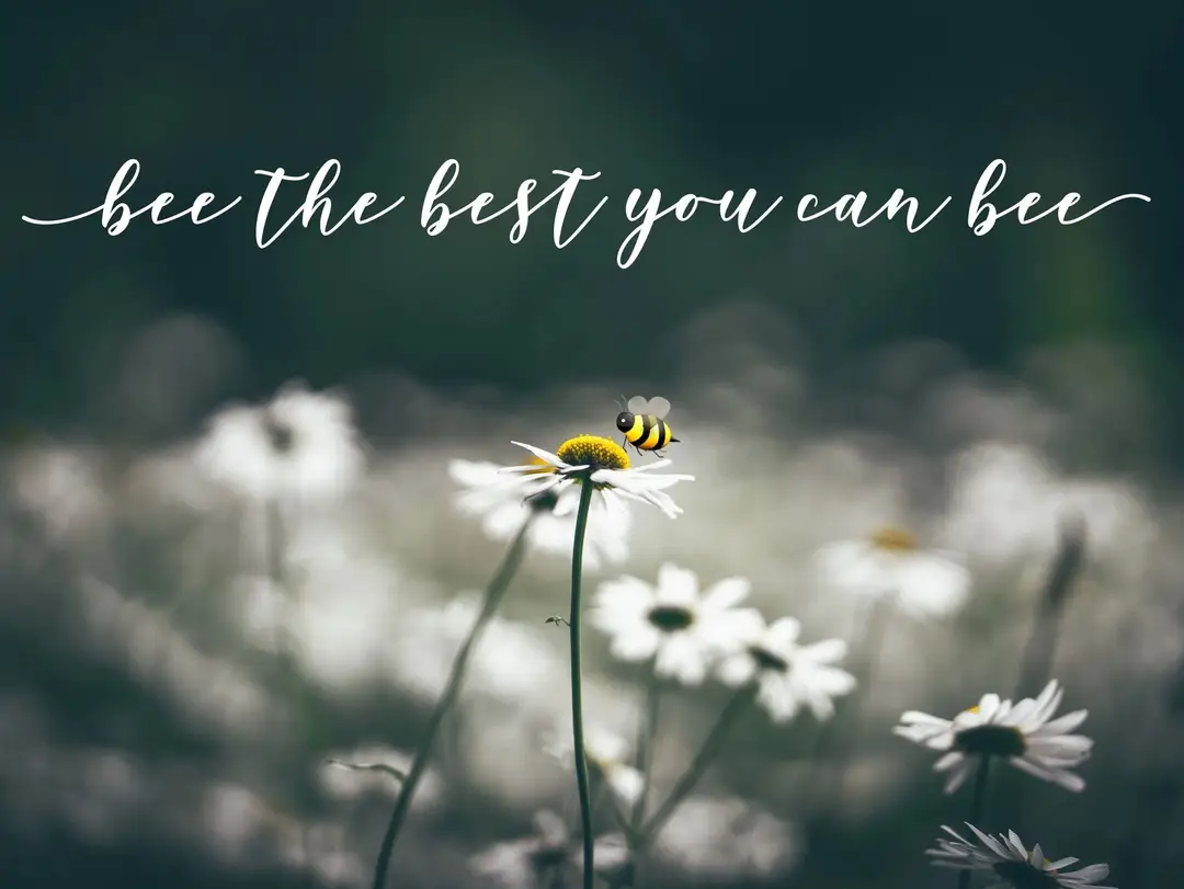 Yogi Bee
