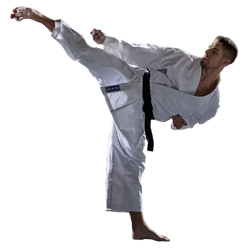 Mixed Martial Arts MMA Classes Laxmi Nagar