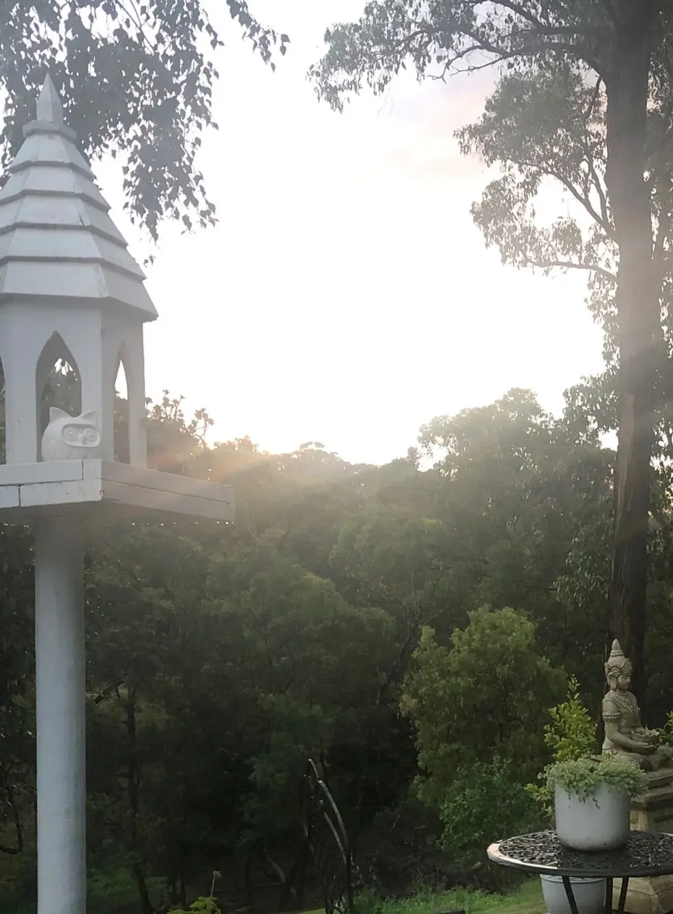 Mahi spa yoga wellness