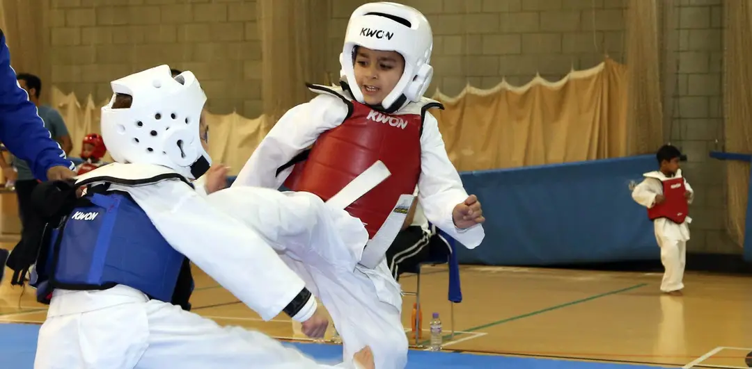 Hadri Taekwondo Academy - Clayhall