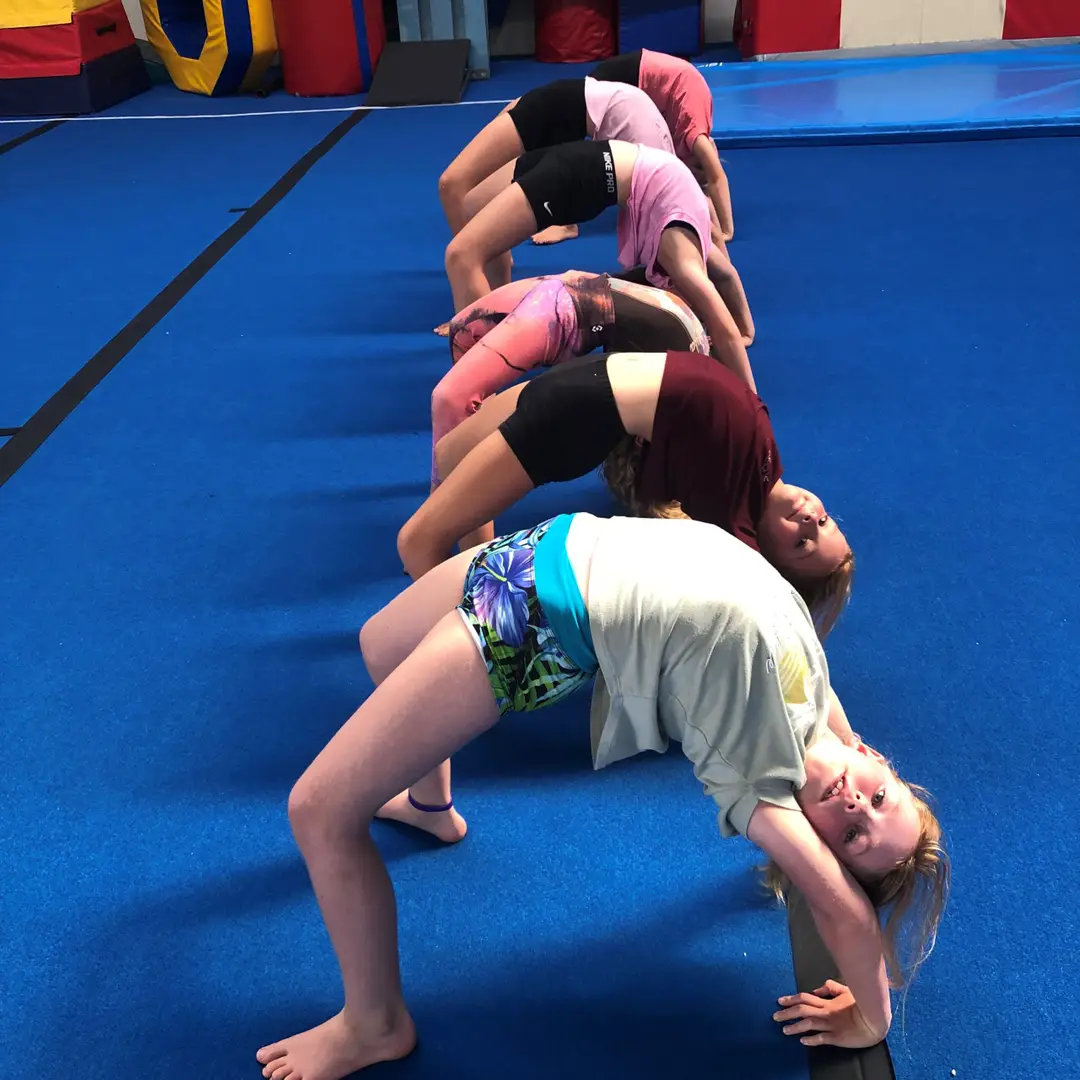 Te Puke Gymsport