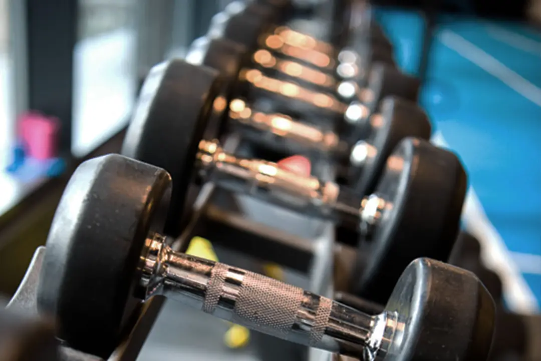 Strength and Conditioning Education