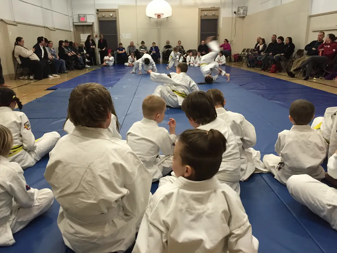 Kyushu Ryu Ju Jitsu