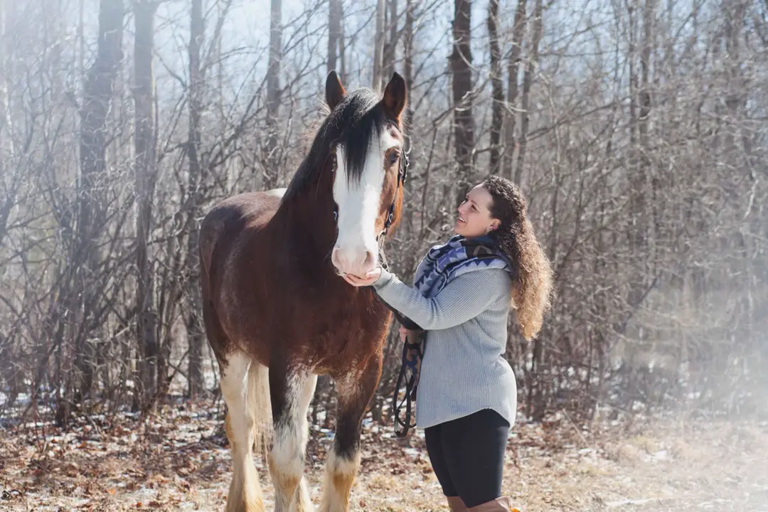 Ash Meadow Farms and Carriage Company