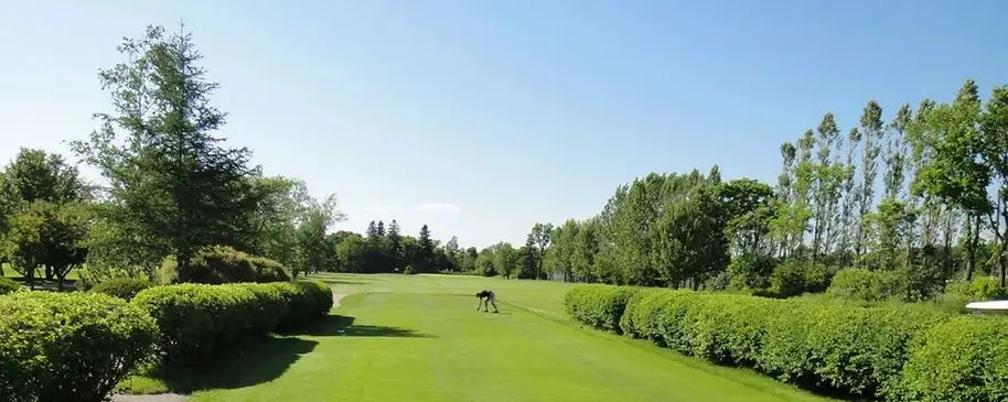 Golf Metropolitain