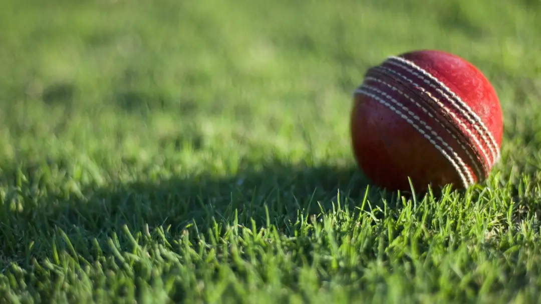 RISING STAR CRICKET ACADEMY ( RSCA BANGALORE PVT LTD)
