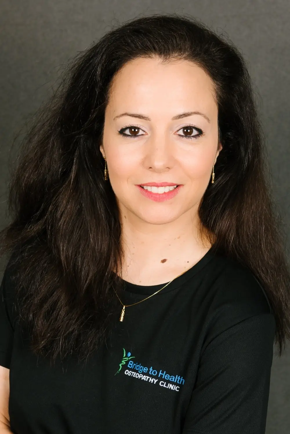 Bridge to Health Osteopaths Uxbridge