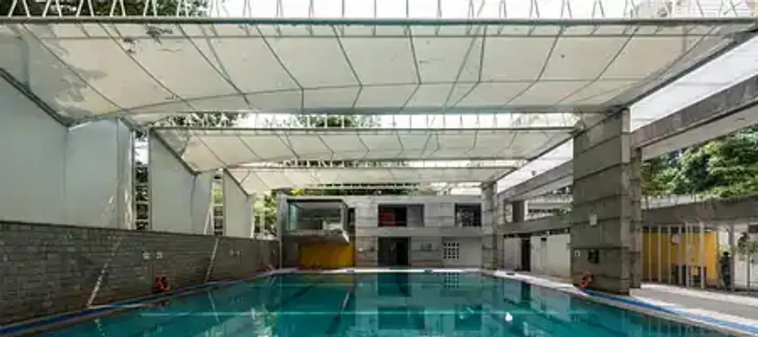 Candour5 swim club
