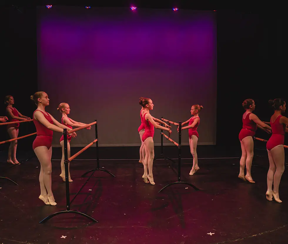 The Ballet Workshop