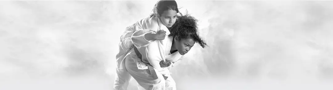 Judo Club De Bourg-Lès-Valence
