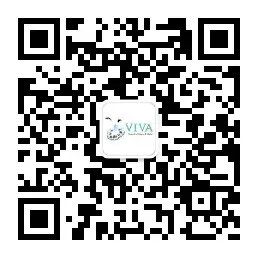 Viva School of Music and Ballet