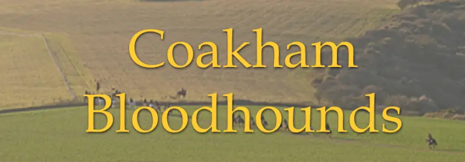 Coakham Kennels