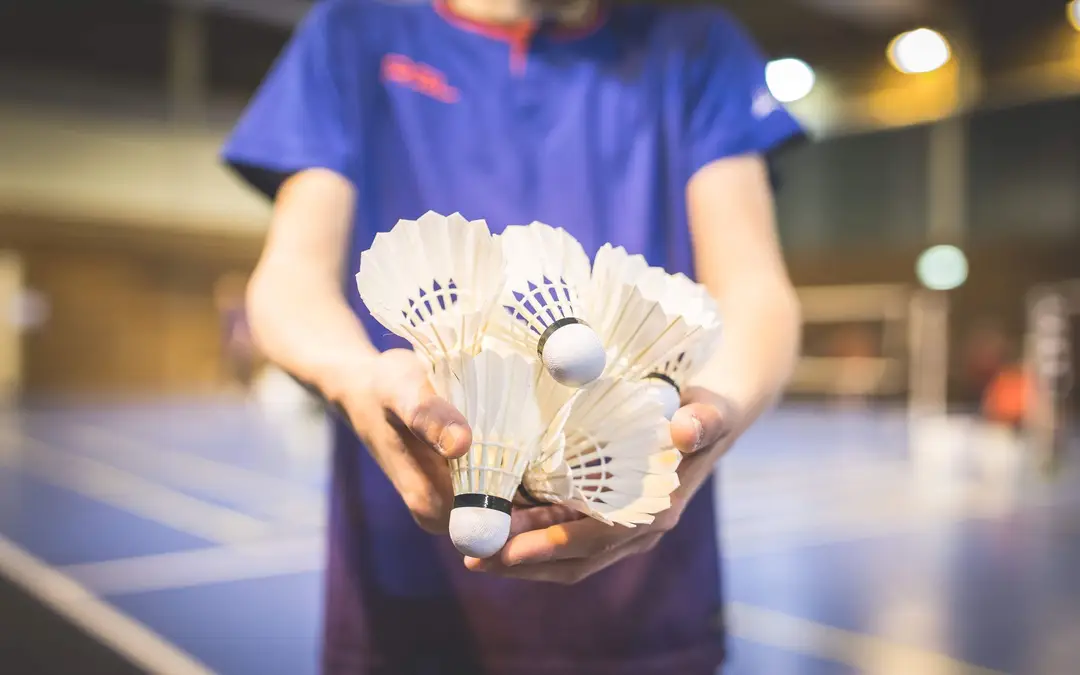 Badminton Club Lampertheim