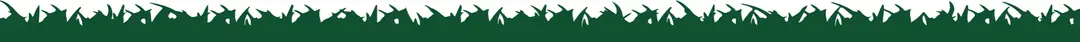 Dinosaur World Adventure Golf