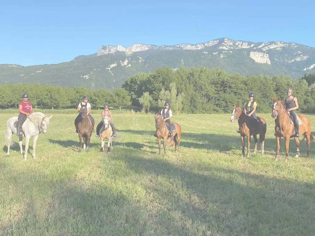 CENTRE EQUESTRE DU RIF