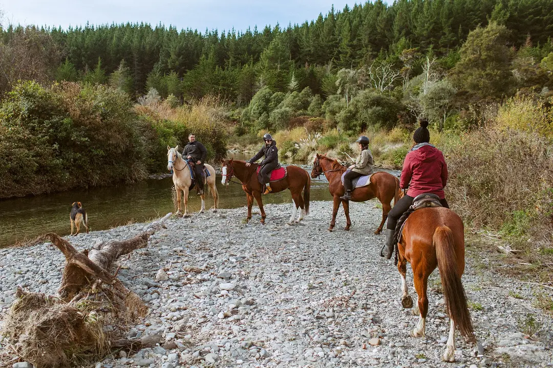Korohe Horse Treks