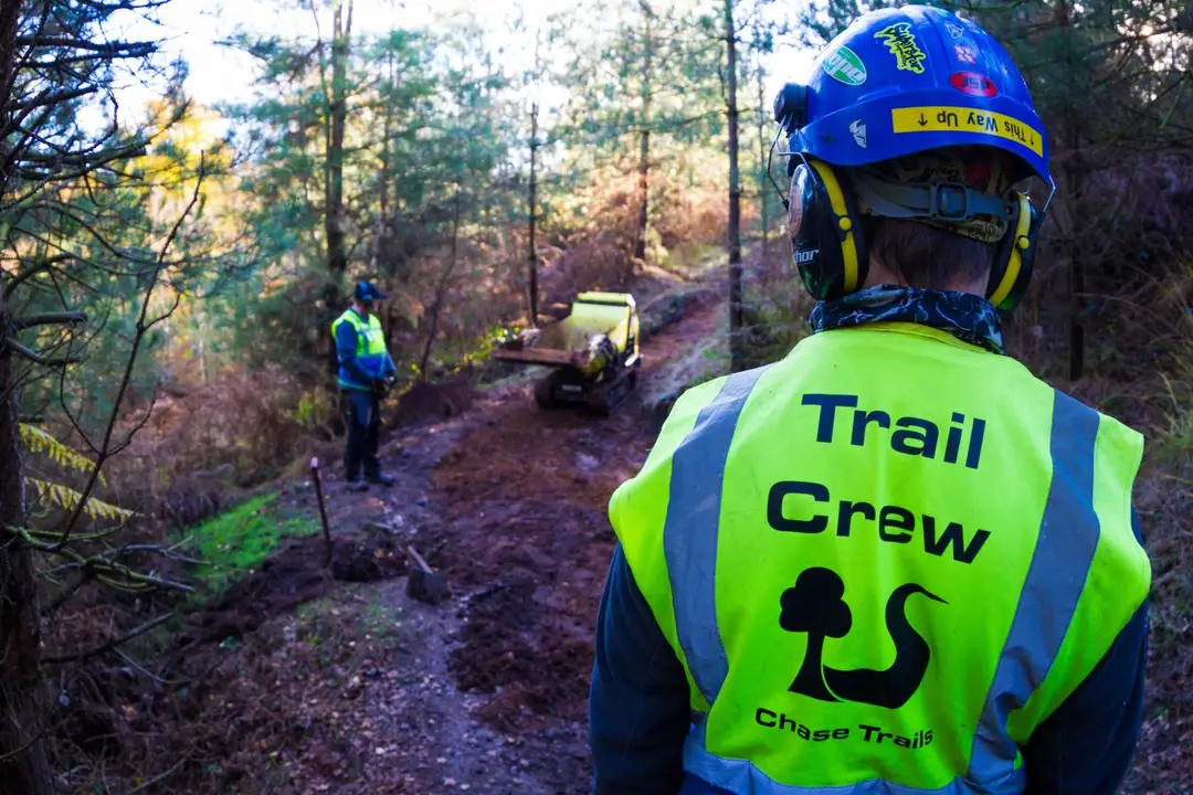 Cannock Chase