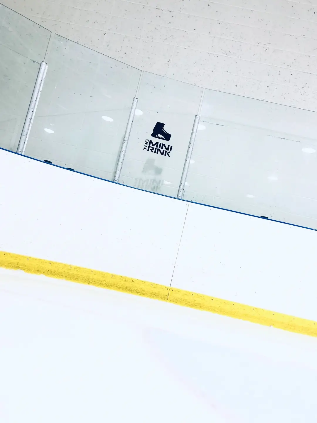The Mini Rink