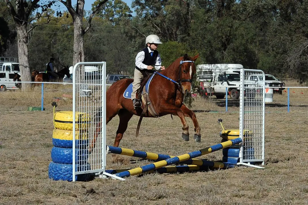 Roma Pony Club