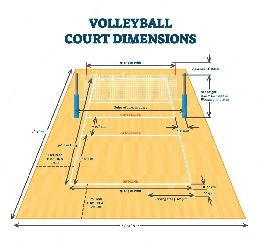 Mole Valley Volleyball Club