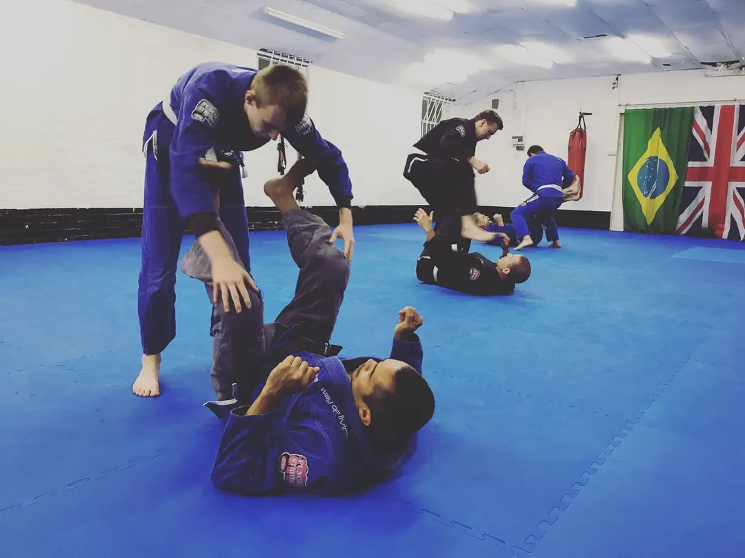 BrazilArte Academy