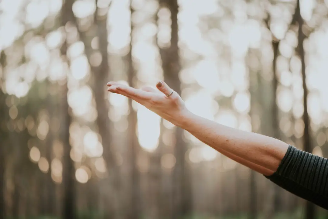 Eden Yoga Studio