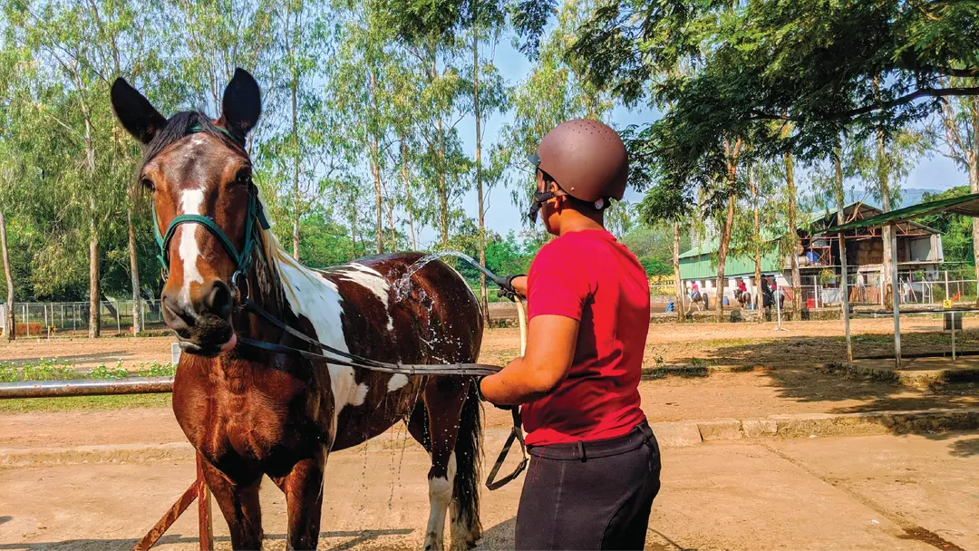 Horse Riding Camps