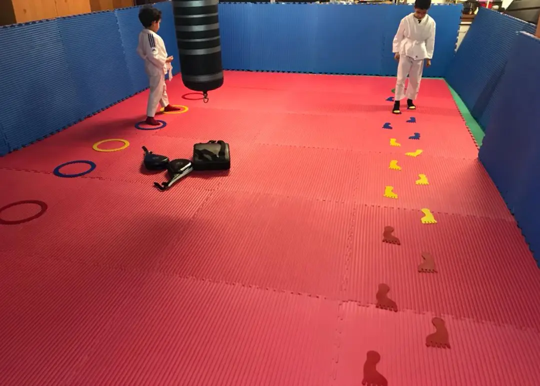 Jeff coaching taekwondo IDF